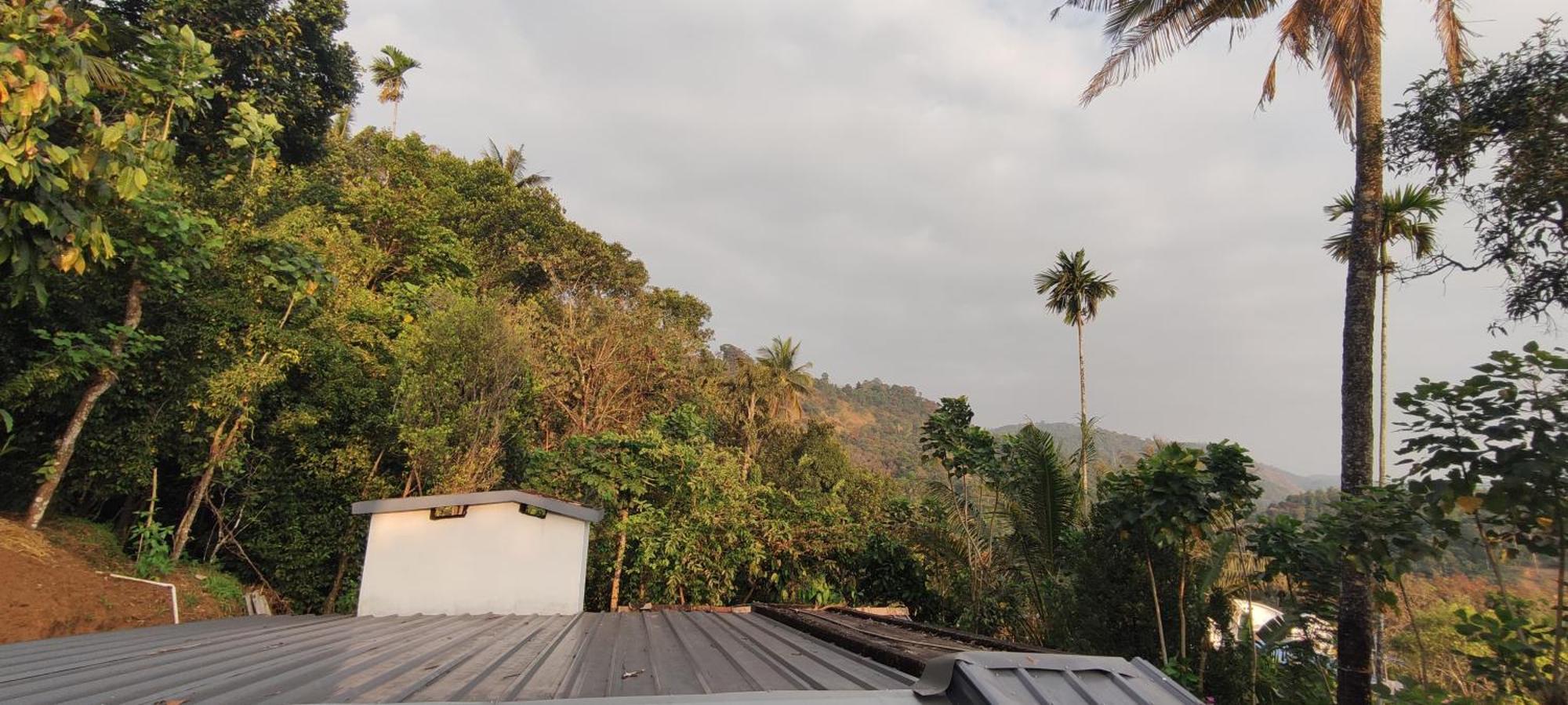 Koonamparayil Home Stay Munnar Anaviratty-Family Only Exterior photo