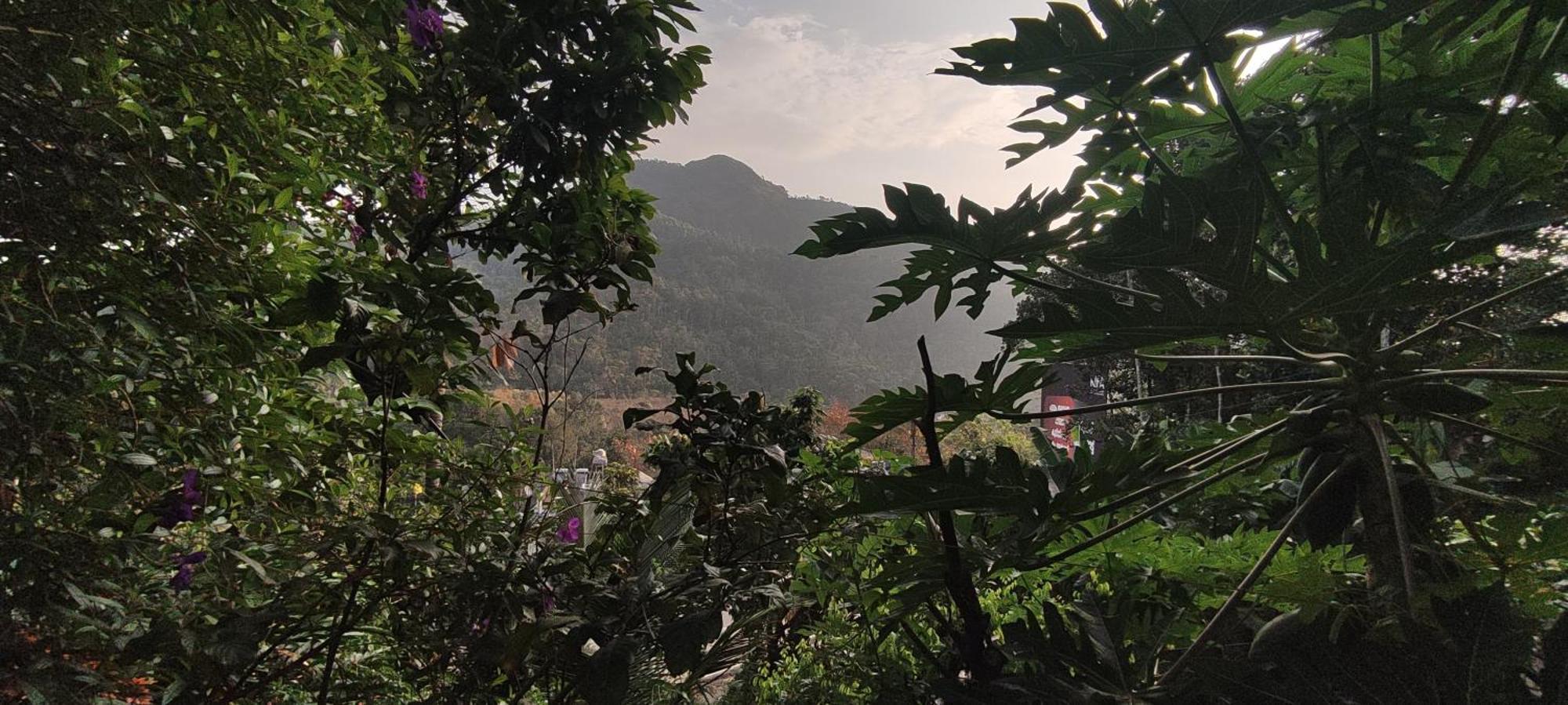 Koonamparayil Home Stay Munnar Anaviratty-Family Only Exterior photo
