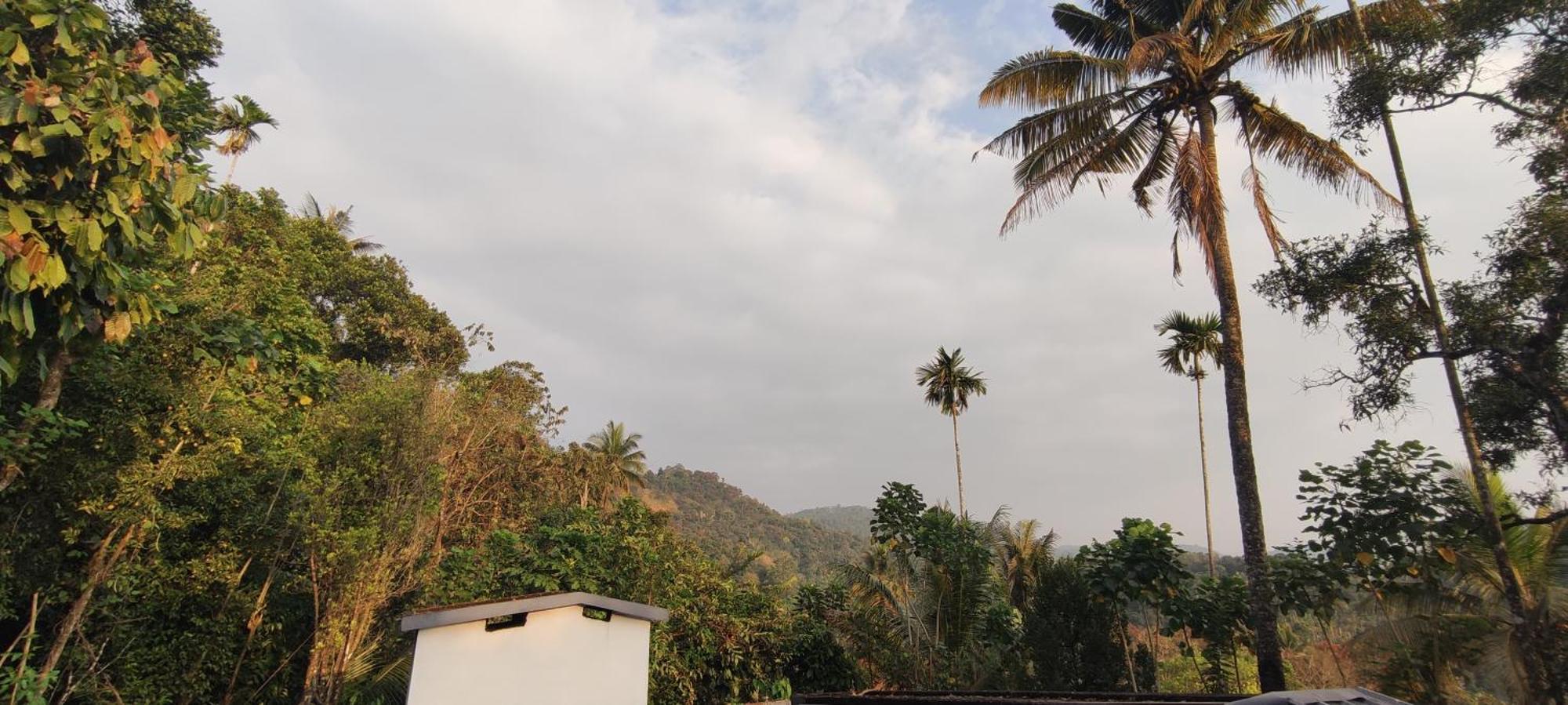 Koonamparayil Home Stay Munnar Anaviratty-Family Only Exterior photo